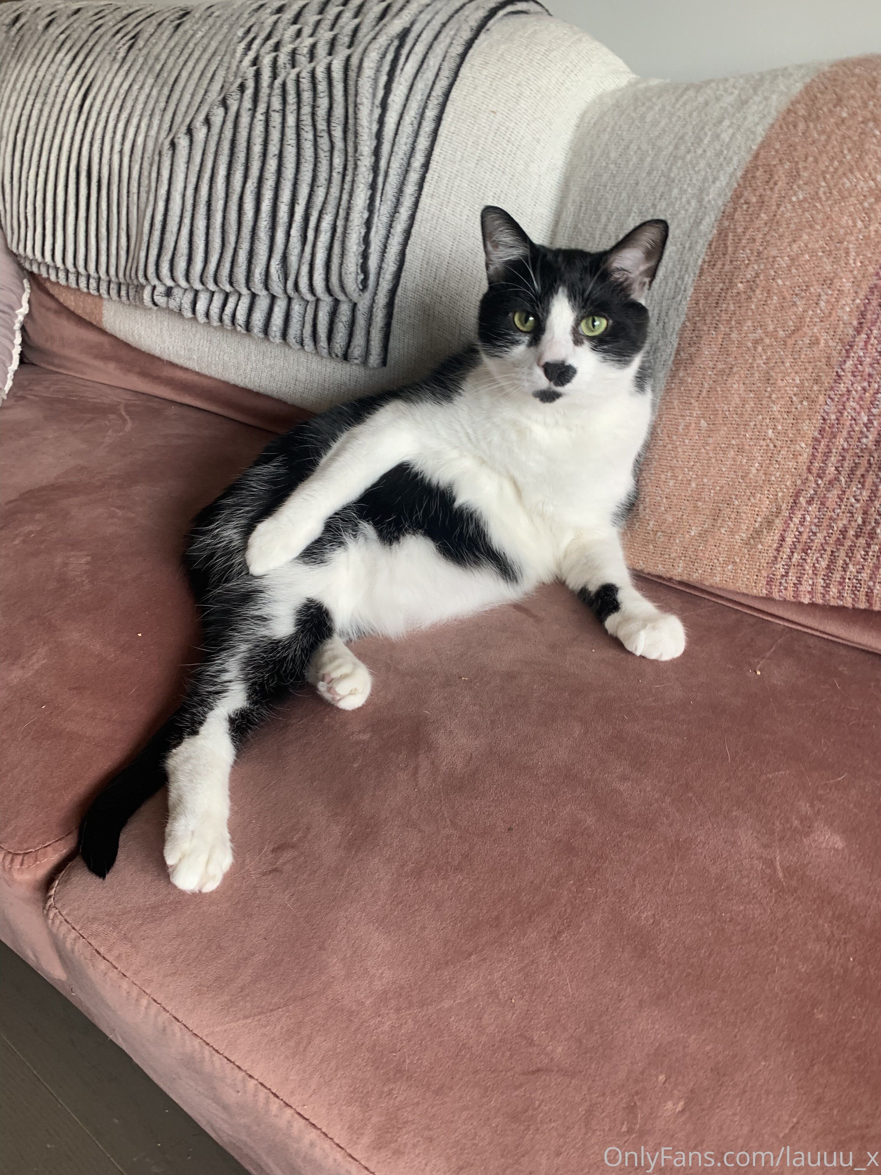 Lauren Caitlyn Photo #68