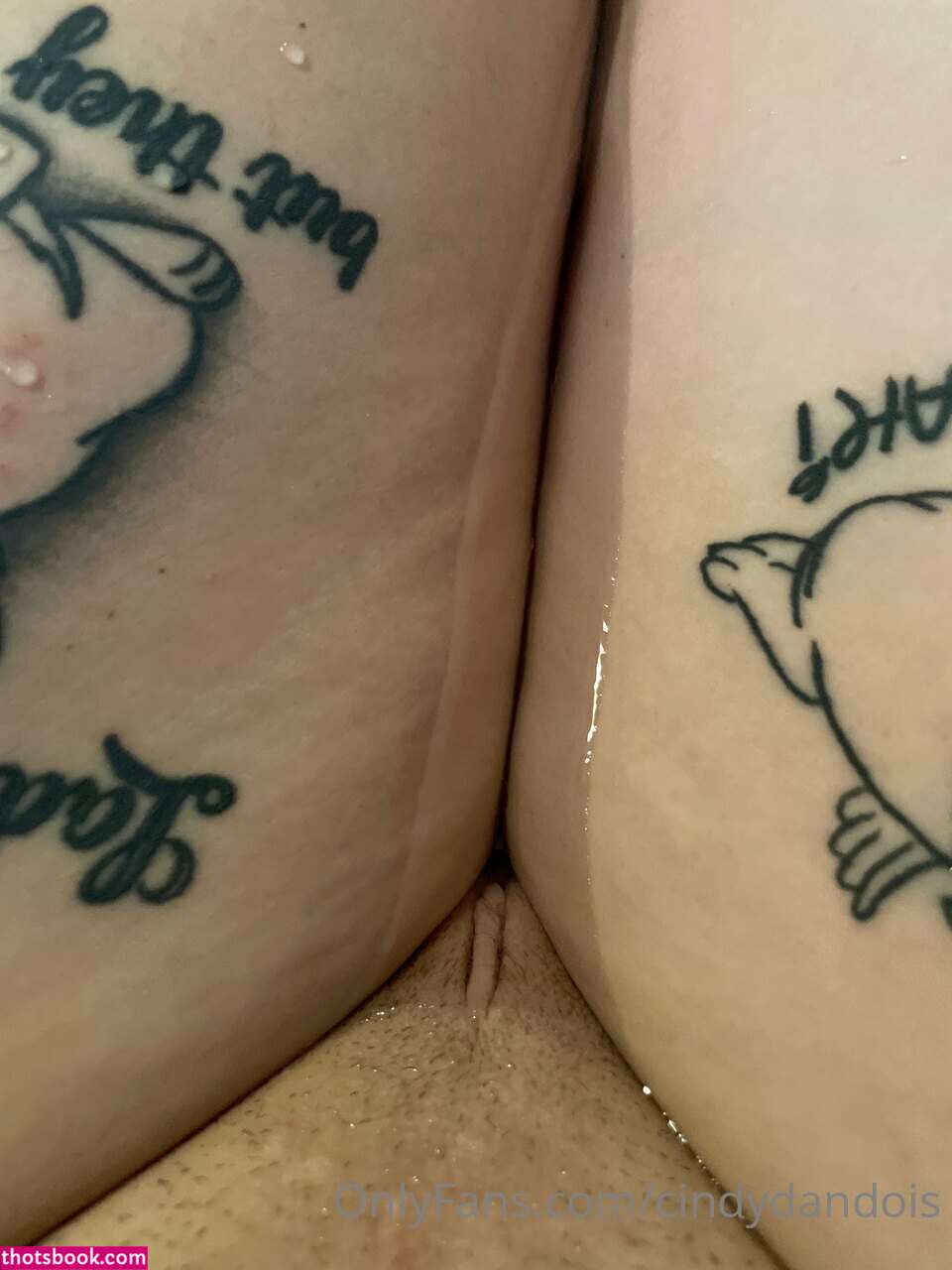 Cindy Dandois Photo #2