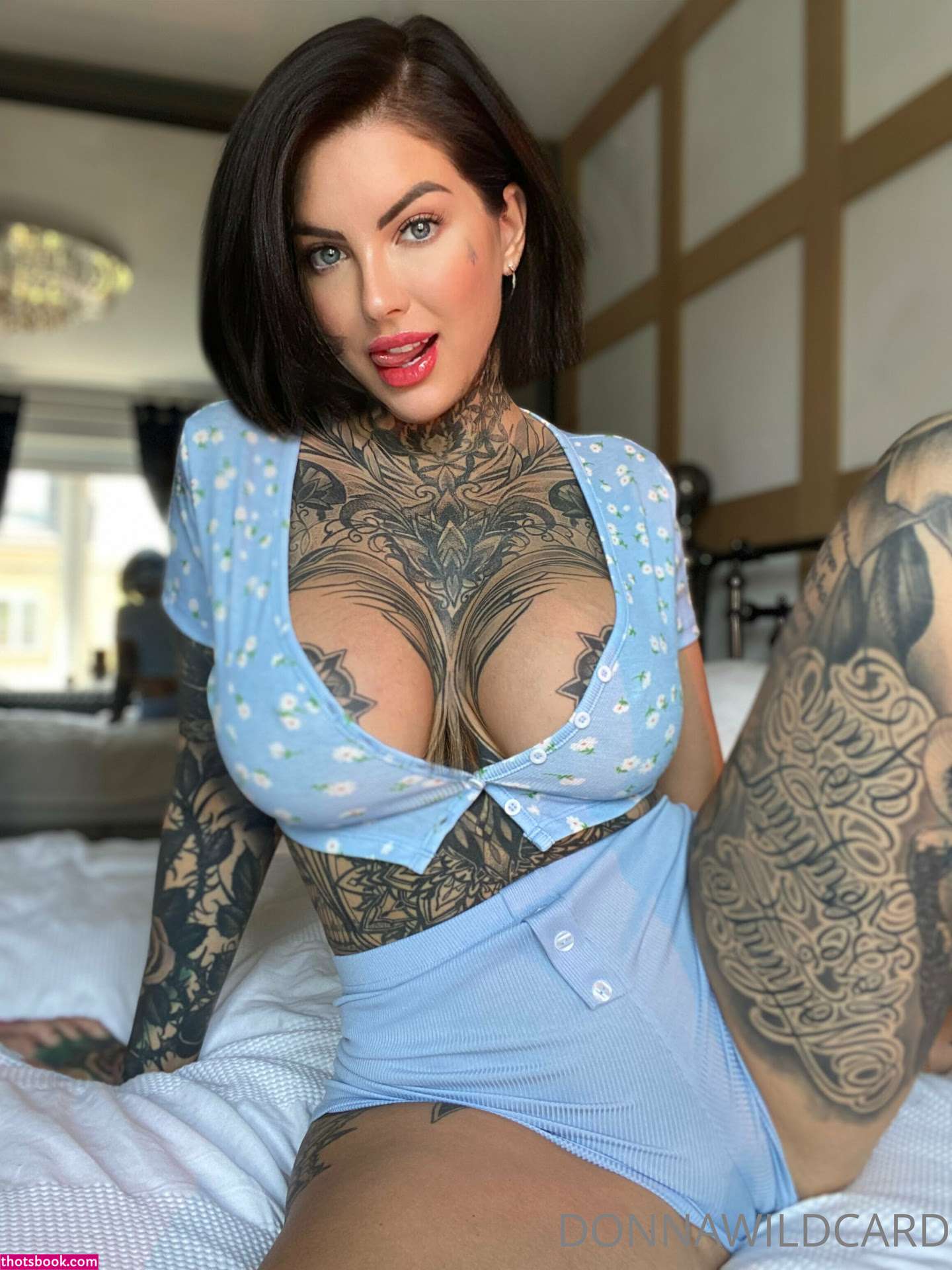 Donna Wildcard Photo #150