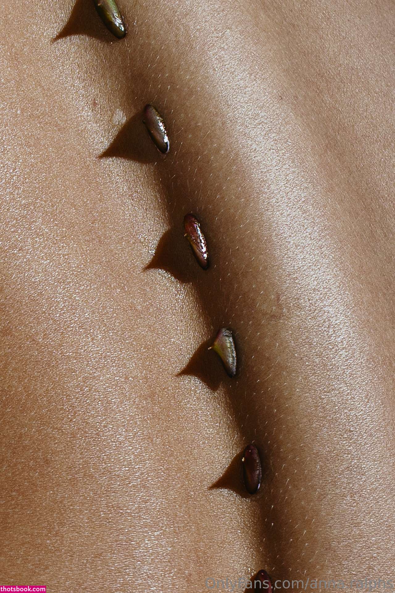 Deanralphs Photo #98