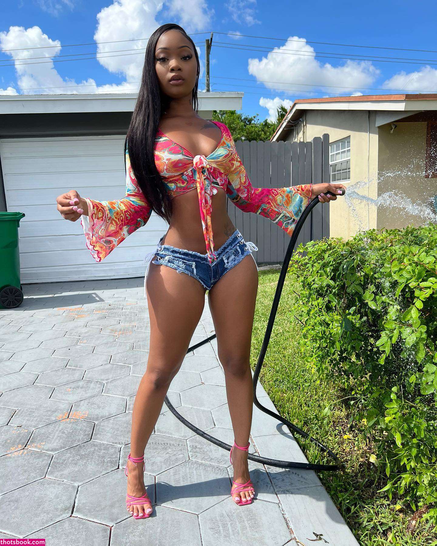 Daalischus Photo #12