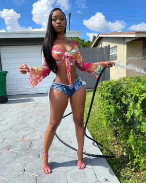 Daalischus Photo #12