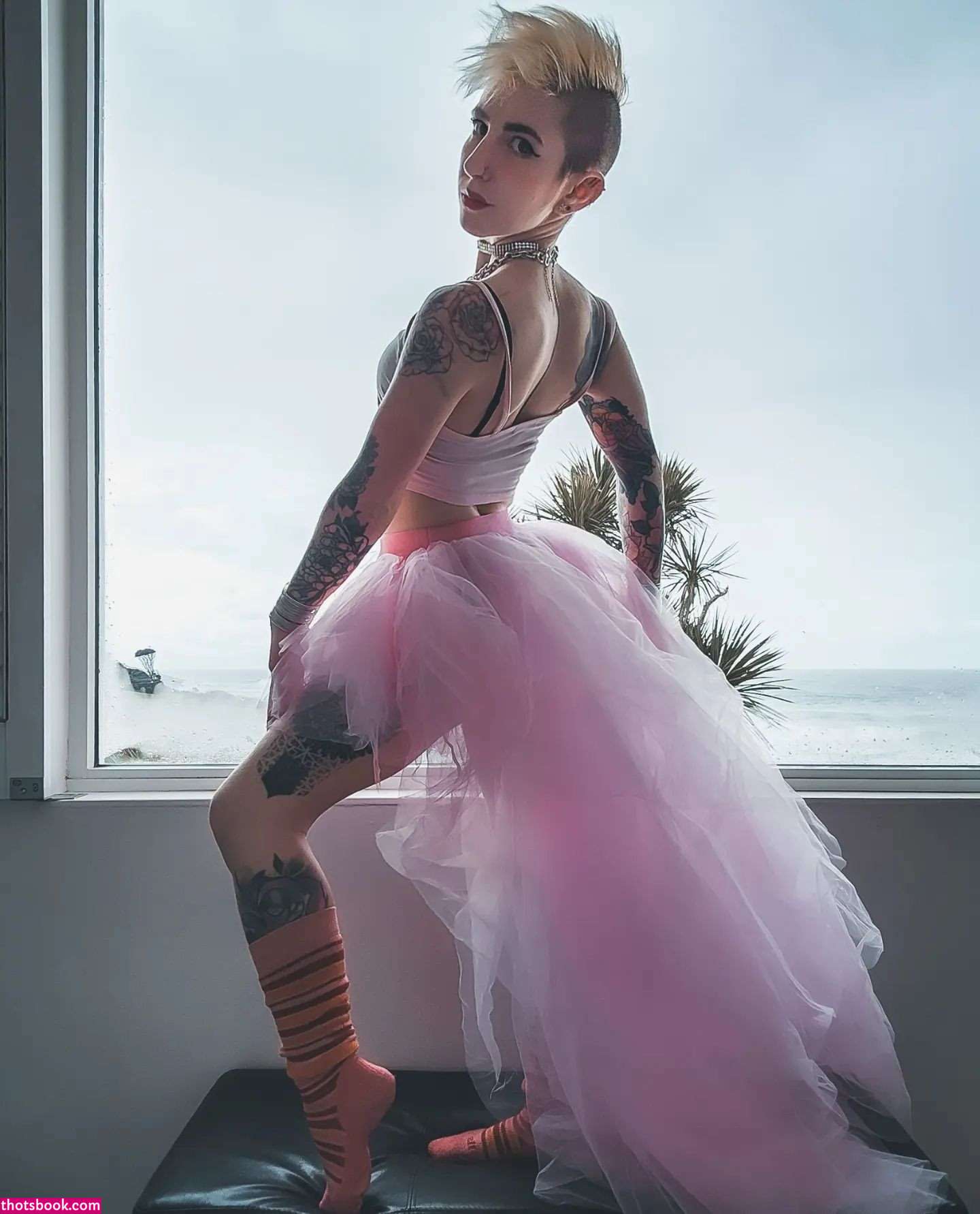 Notaprodigy Photo #24