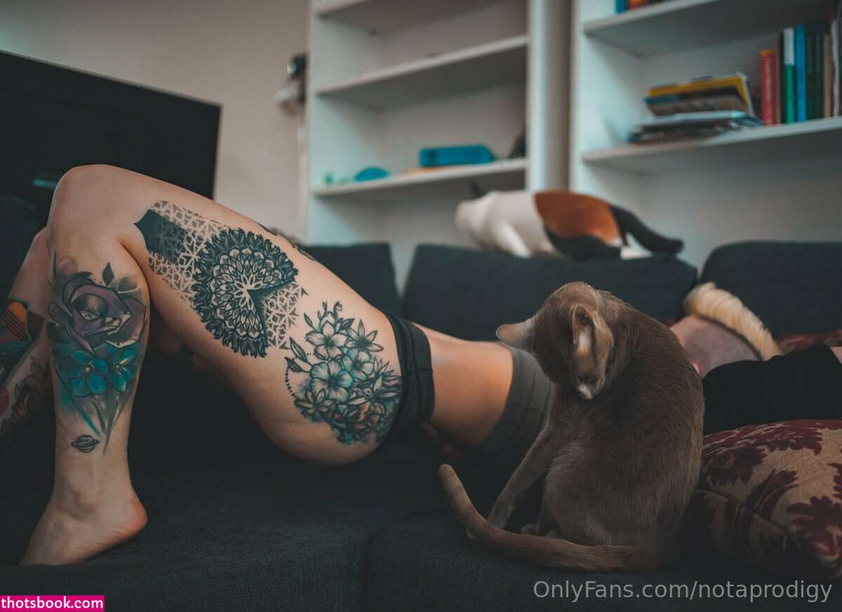 Notaprodigy Photo #43