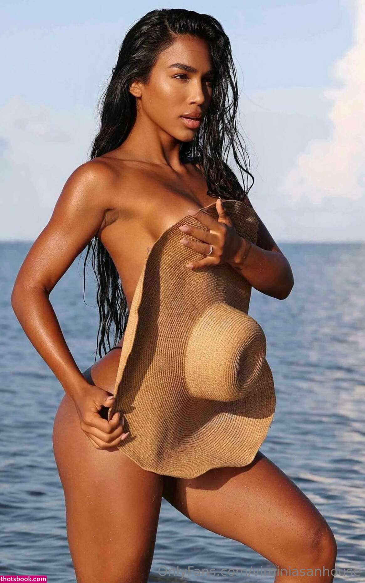 Virginia Sanhouse Photo #55