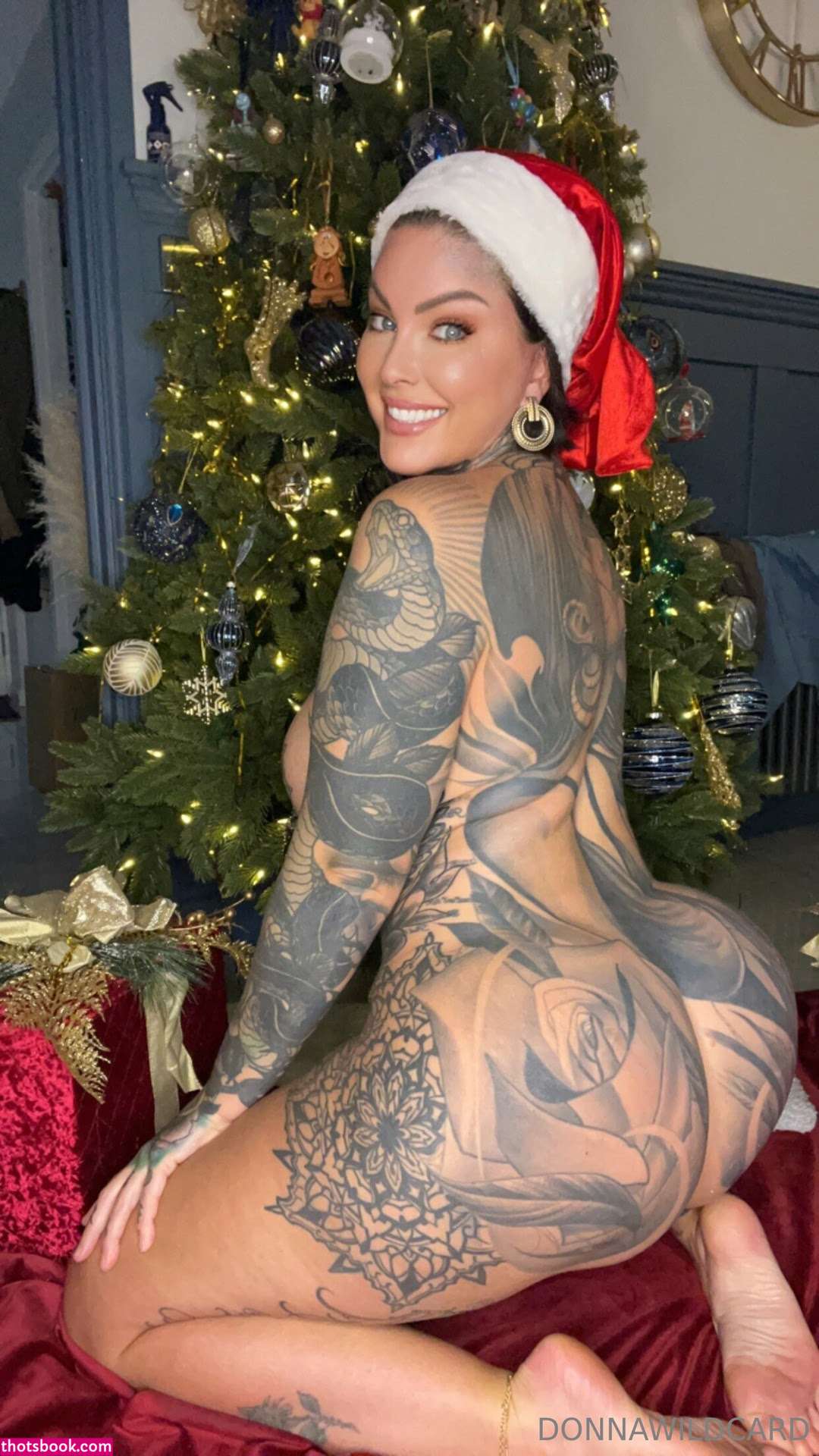 Donna Wildcard Photo #561