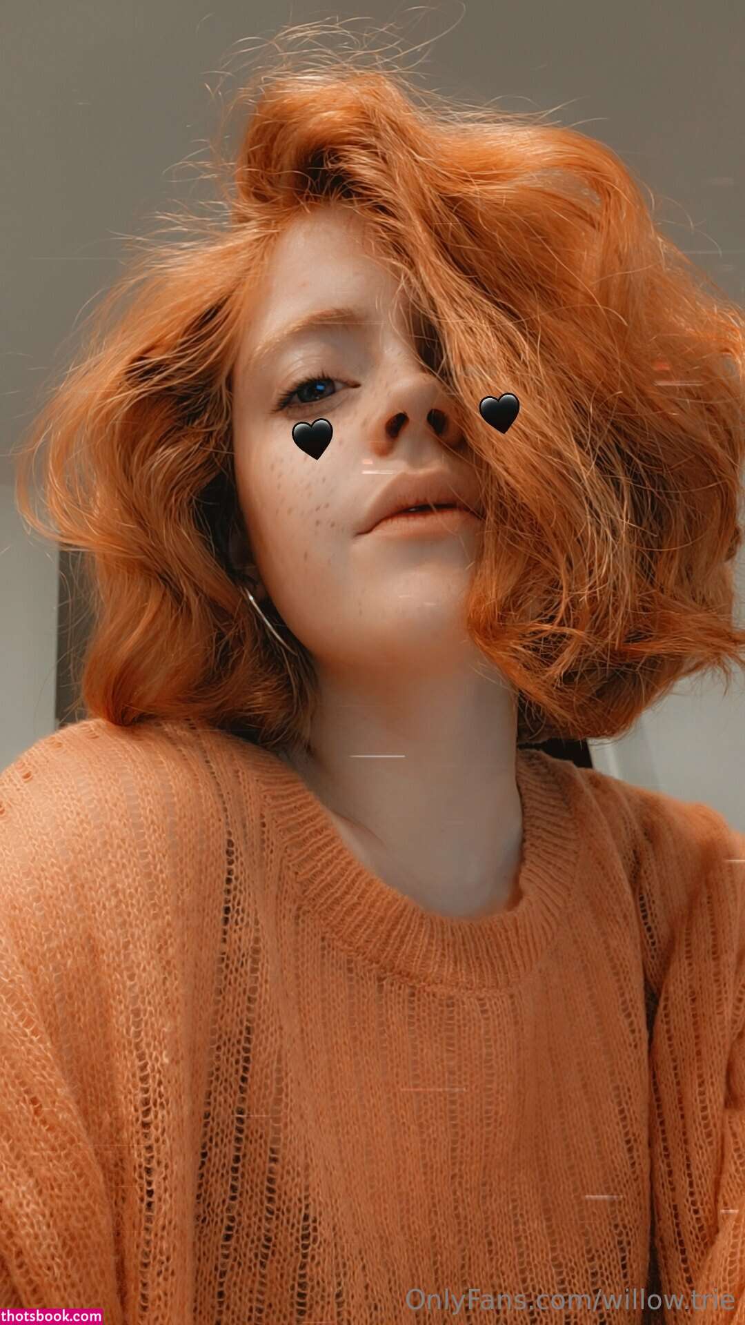 Willow Trie Photo #79