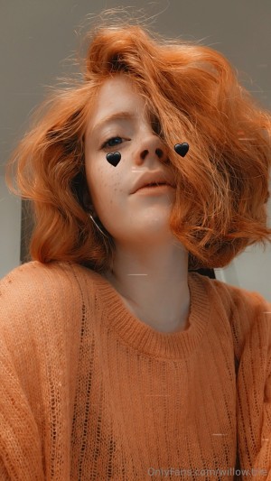 Willow Trie Photo #79