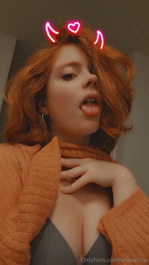 Willow Trie Photo #83