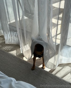 Nicky Gile Photo #246