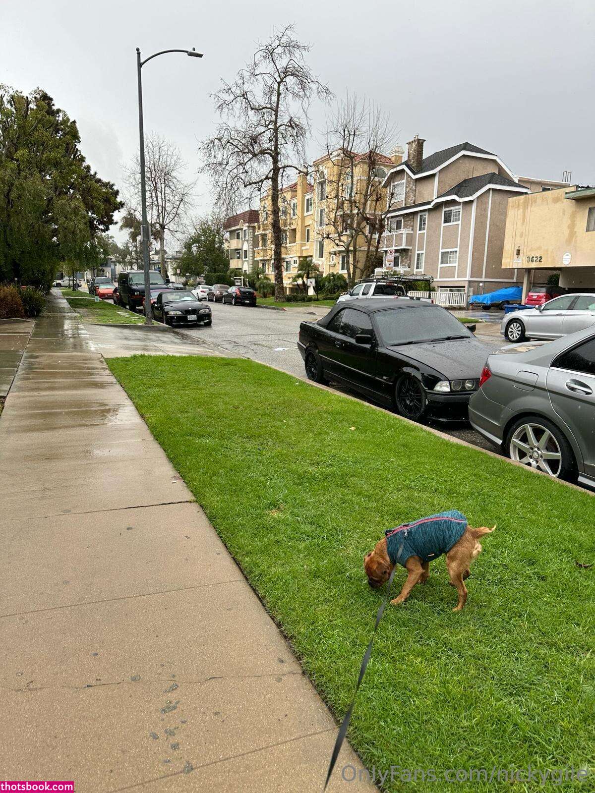 Nicky Gile Photo #250