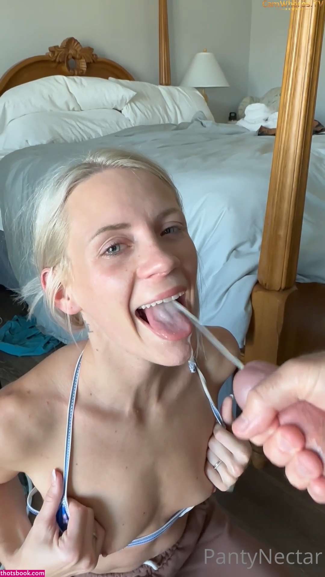 Pantynectar Photo #33