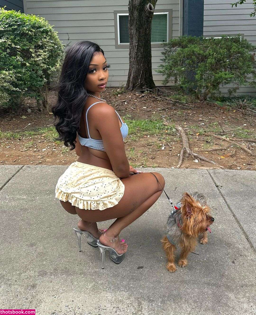 Daalischus Photo #39