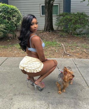 Daalischus Photo #39