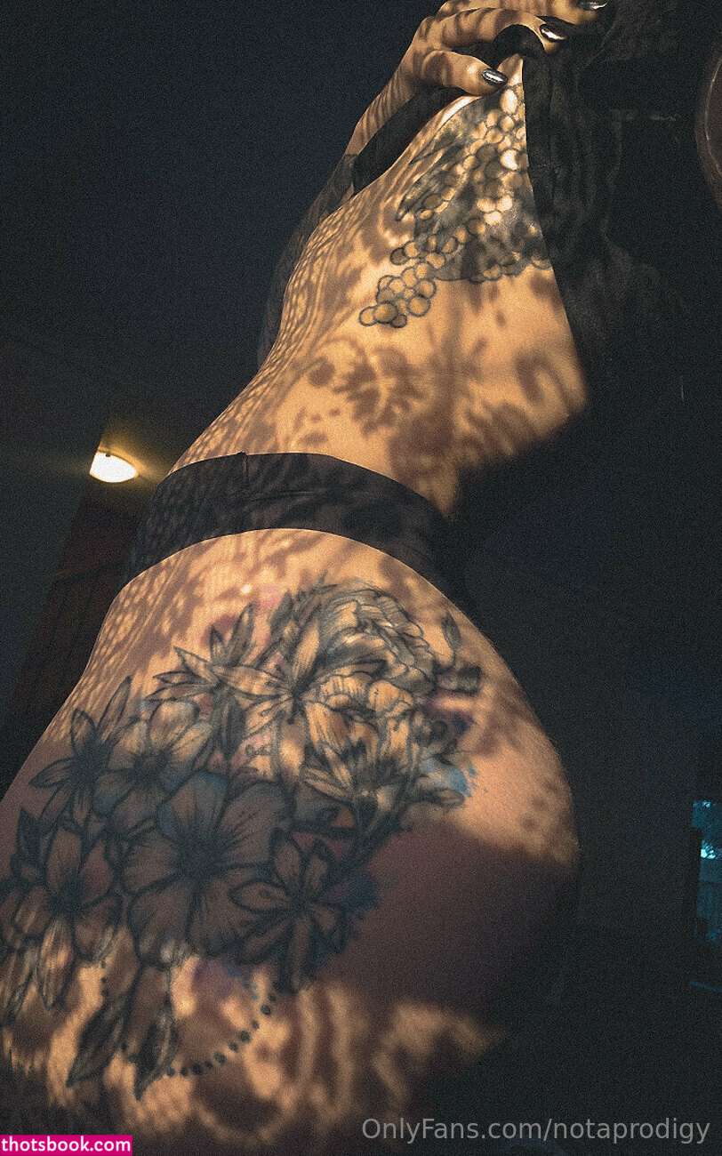 Notaprodigy Photo #120