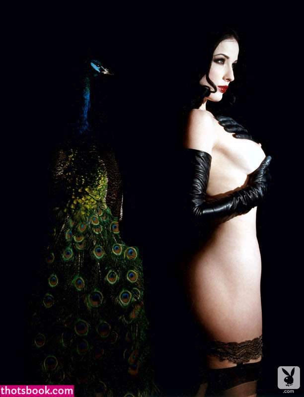 Dita Von Teese Photo #14