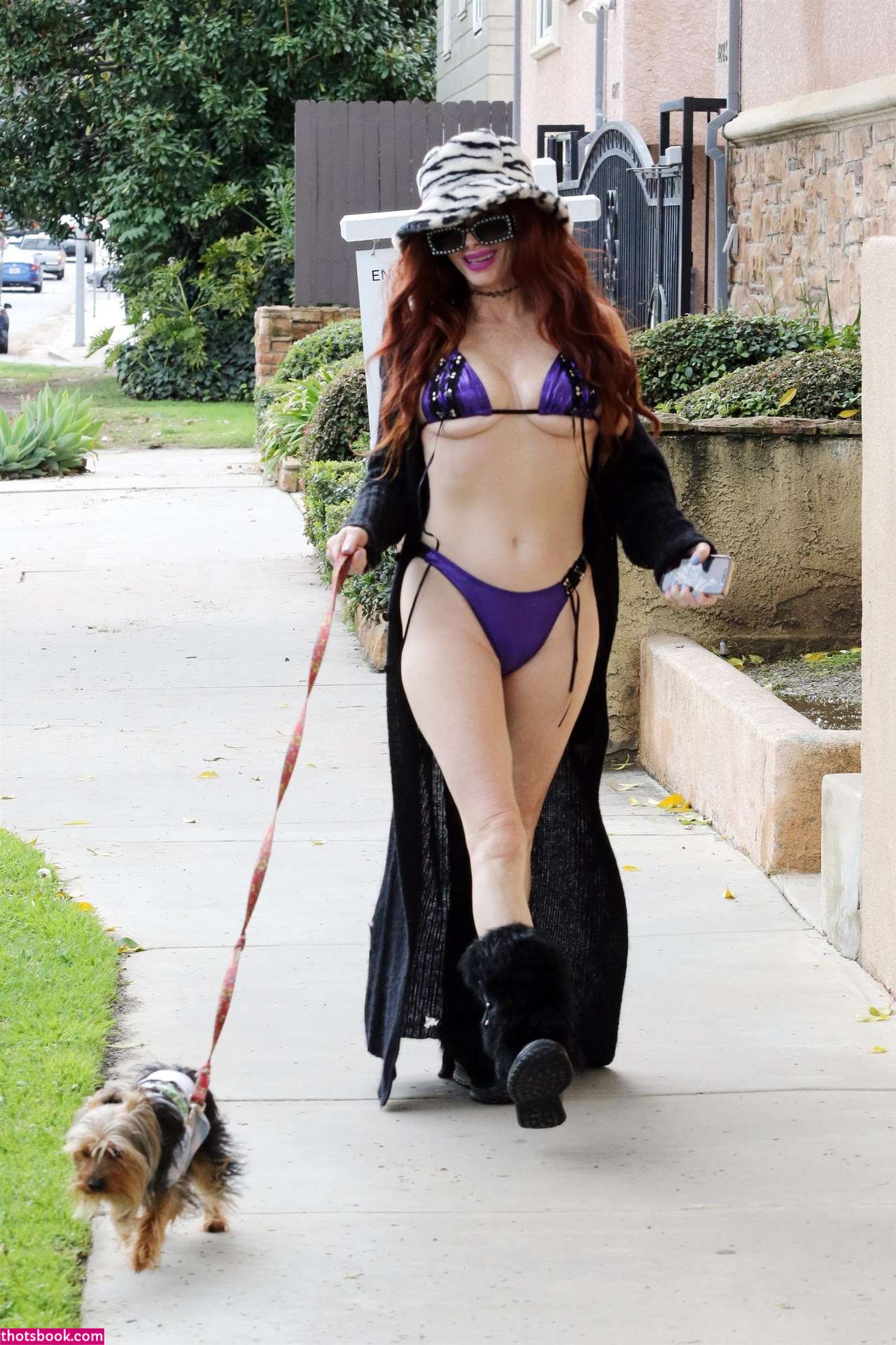 Phoebe Price Photo #95