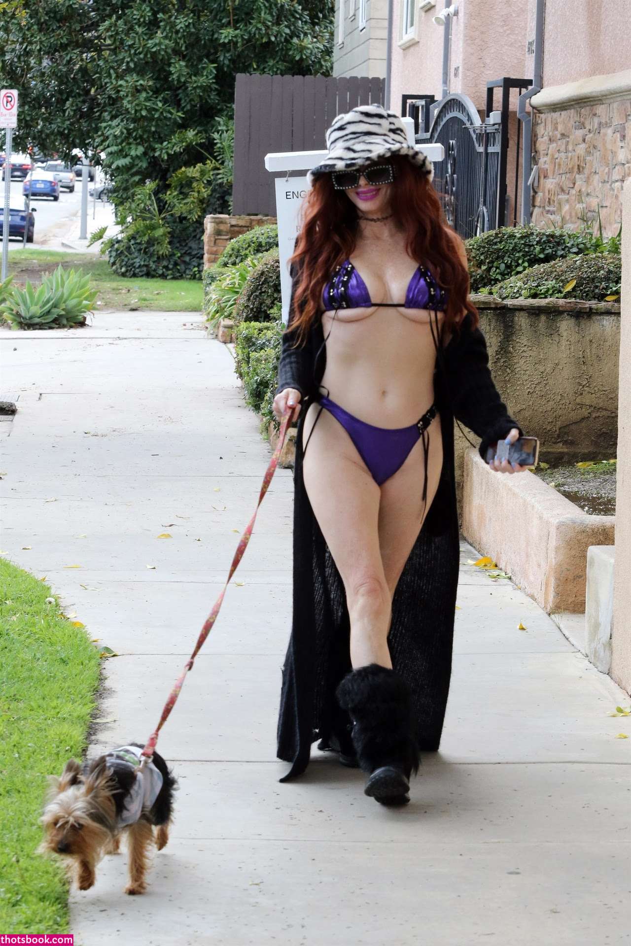 Phoebe Price Photo #96