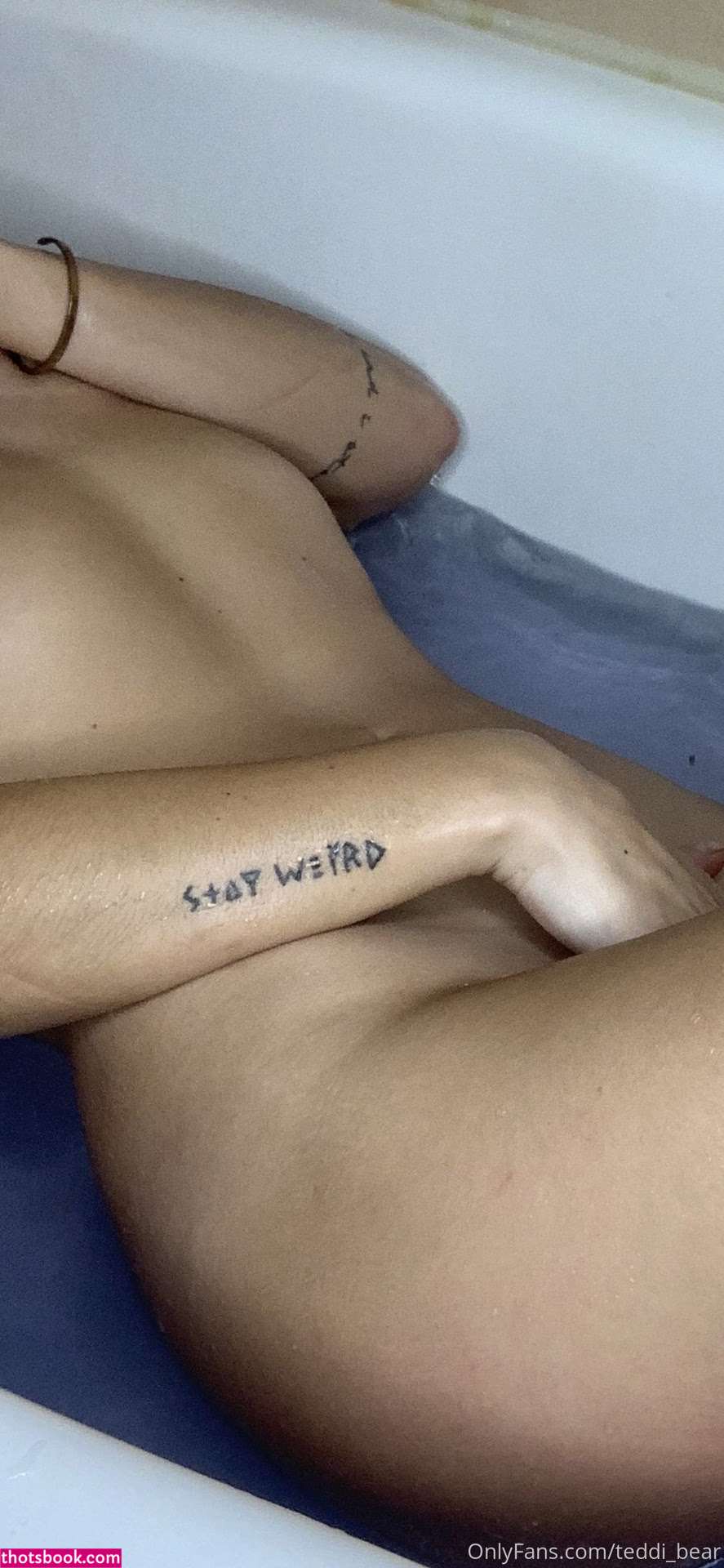 Teddi Bear Photo #14