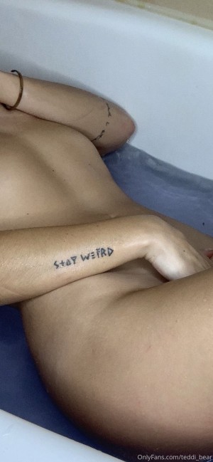 Teddi Bear Photo #14