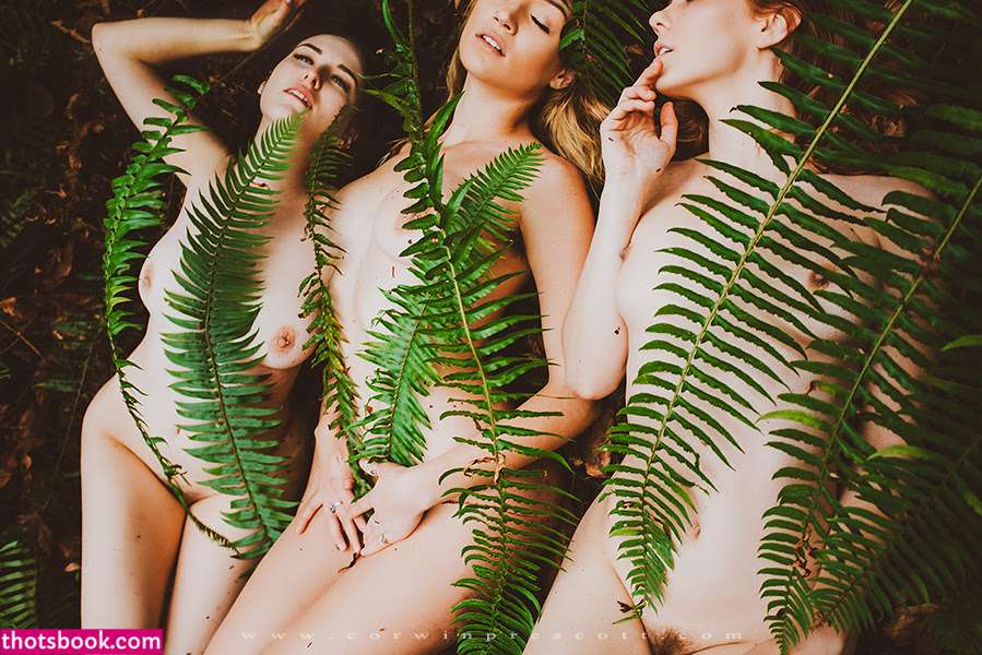 Kayla Coyote Photo #238