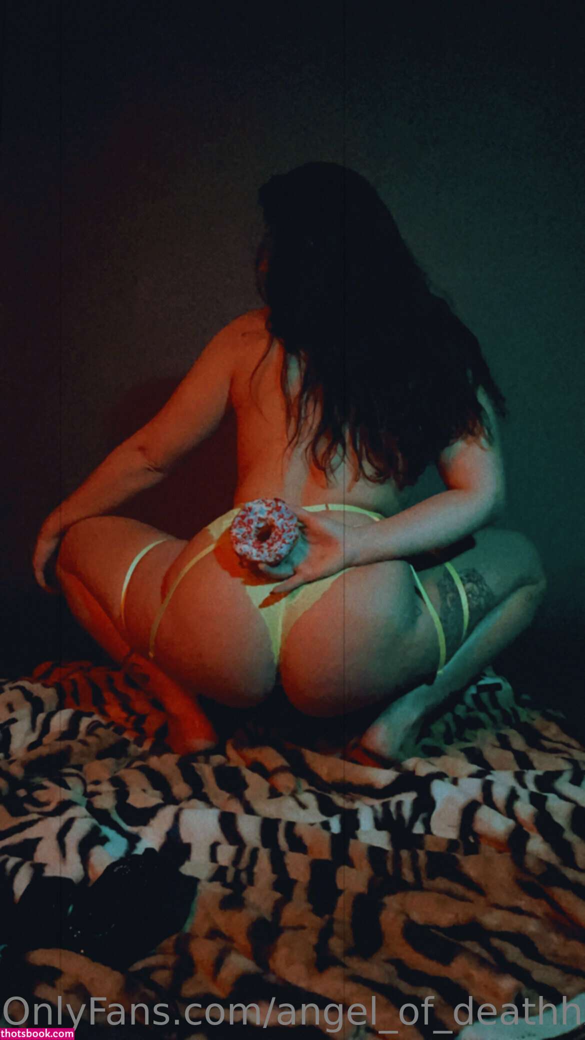 Angel Of Deathhx Photo #331