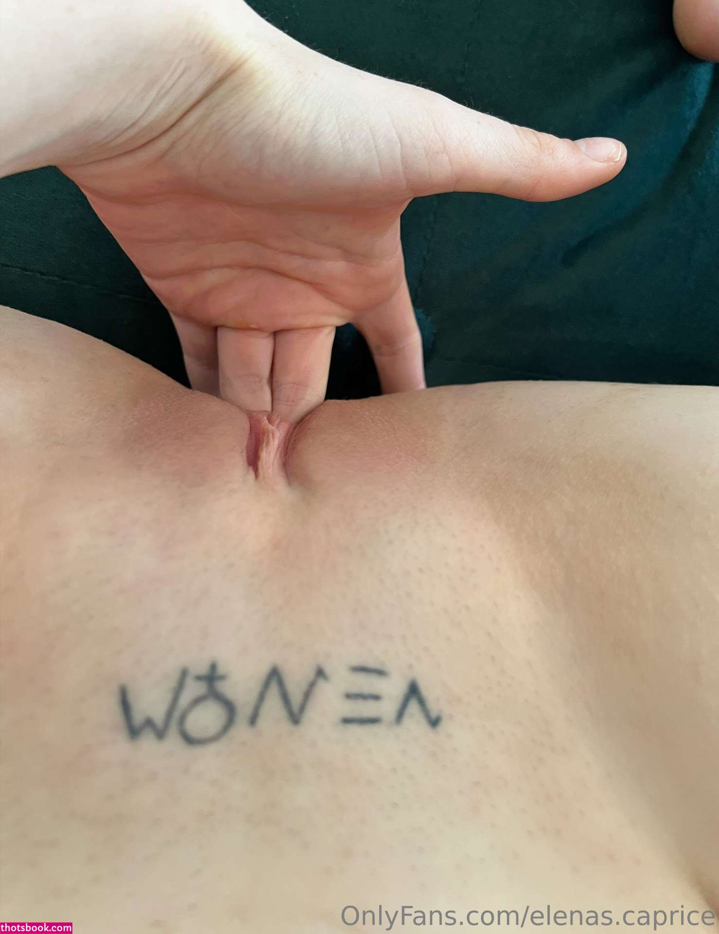 Elenas Caprice Photo #149