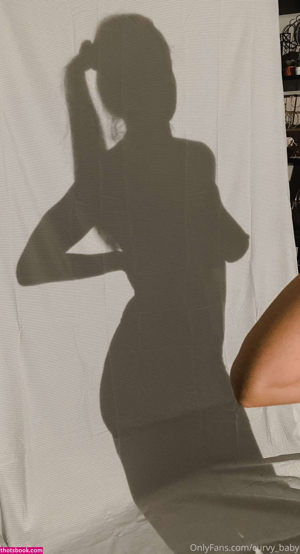 lizluvscats Photo #8