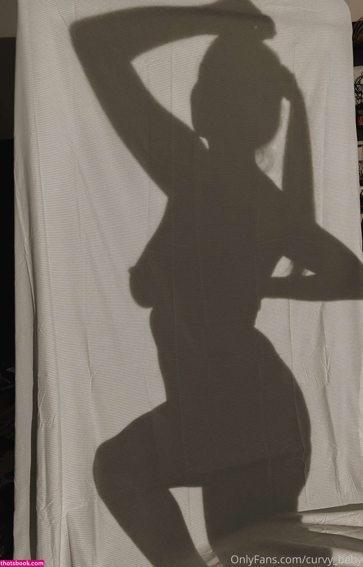 lizluvscats Photo #9