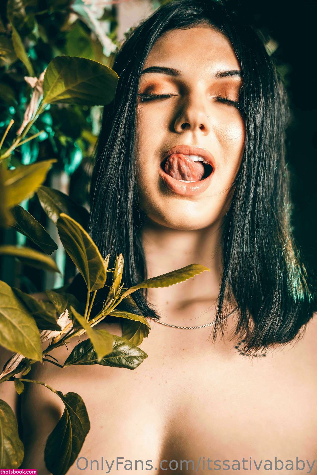 Sativa Siren Photo #24