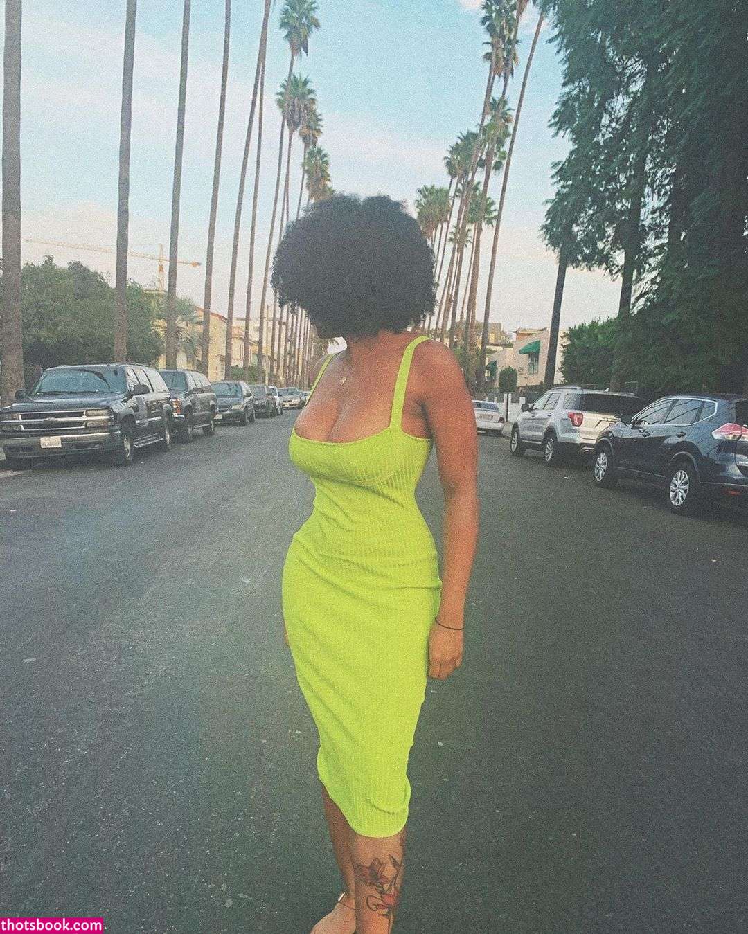 Taylor Banner Photo #17