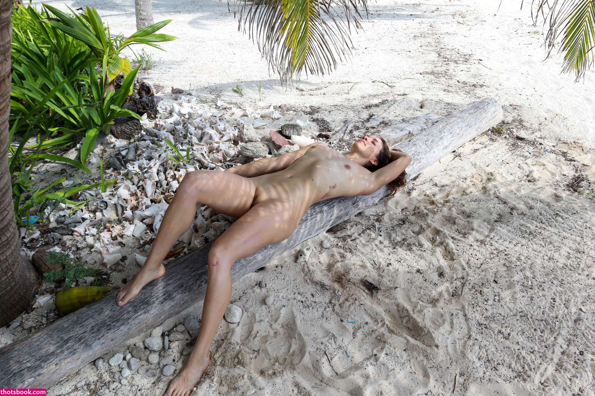 Francelli R Photo #10