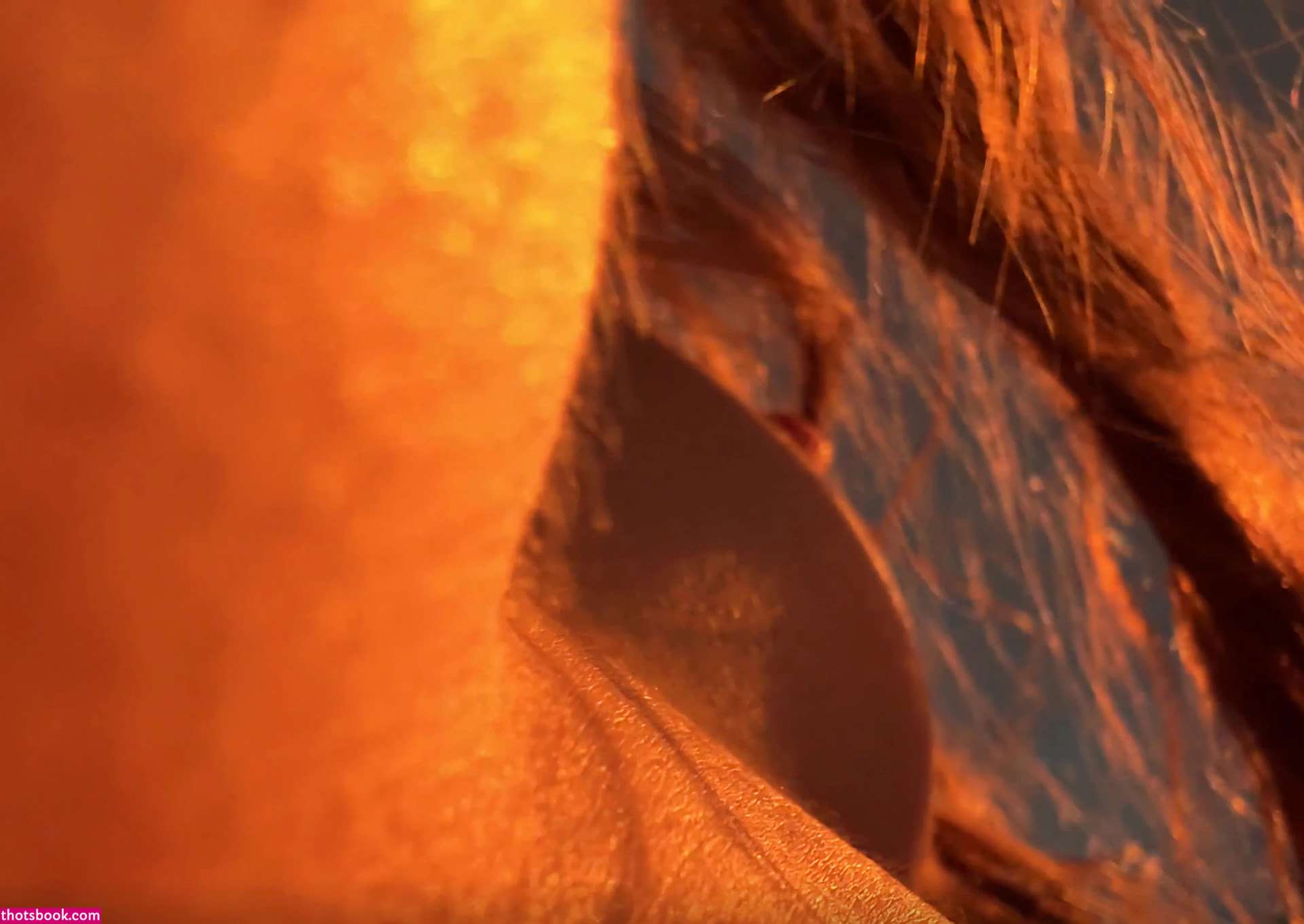 Stefania Deriabina Photo #9