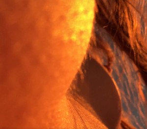 Stefania Deriabina Post #2