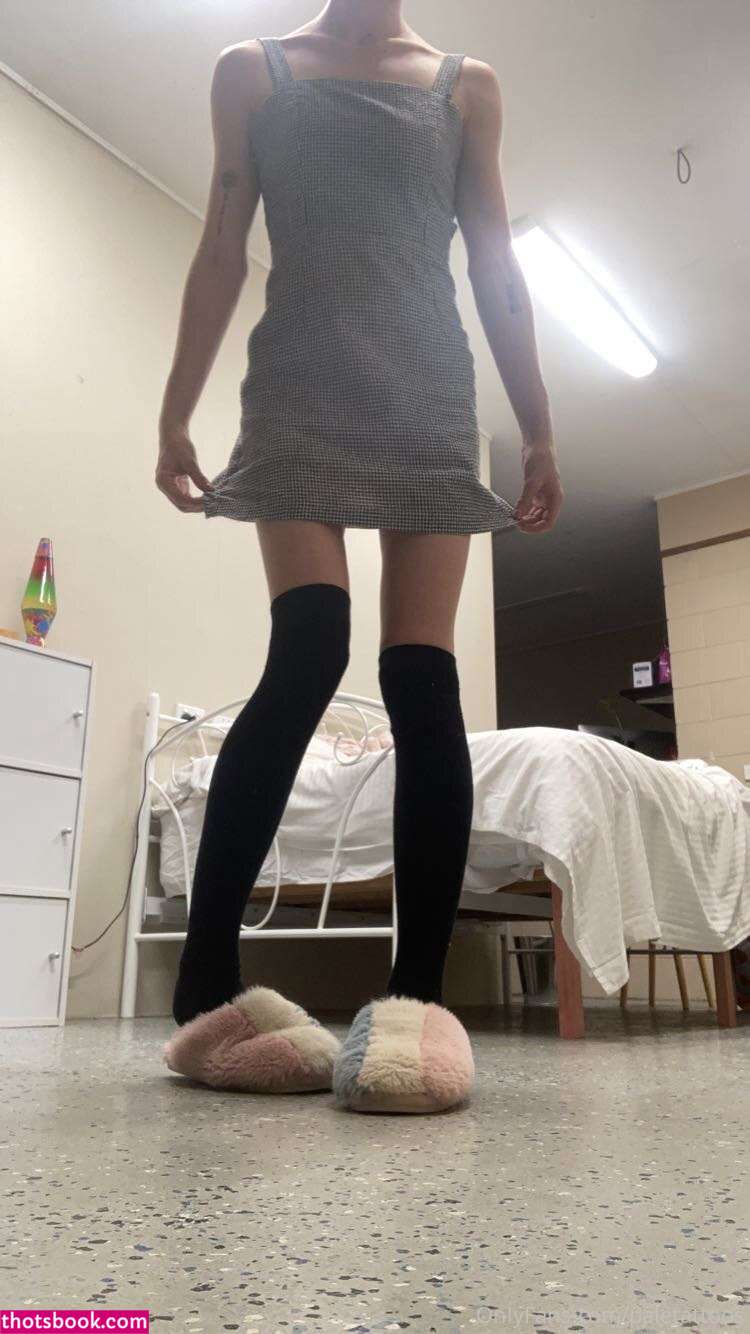 paletattoos Photo #22