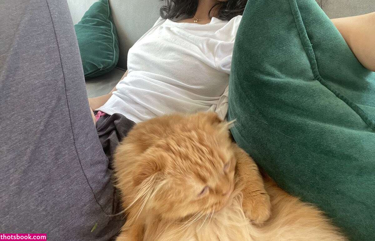 Validashun Photo #20