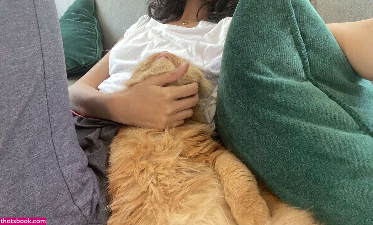 Validashun Photo #23