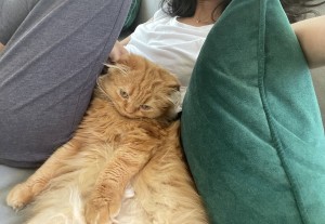 Validashun Photo #19