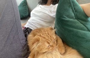 Validashun Photo #20