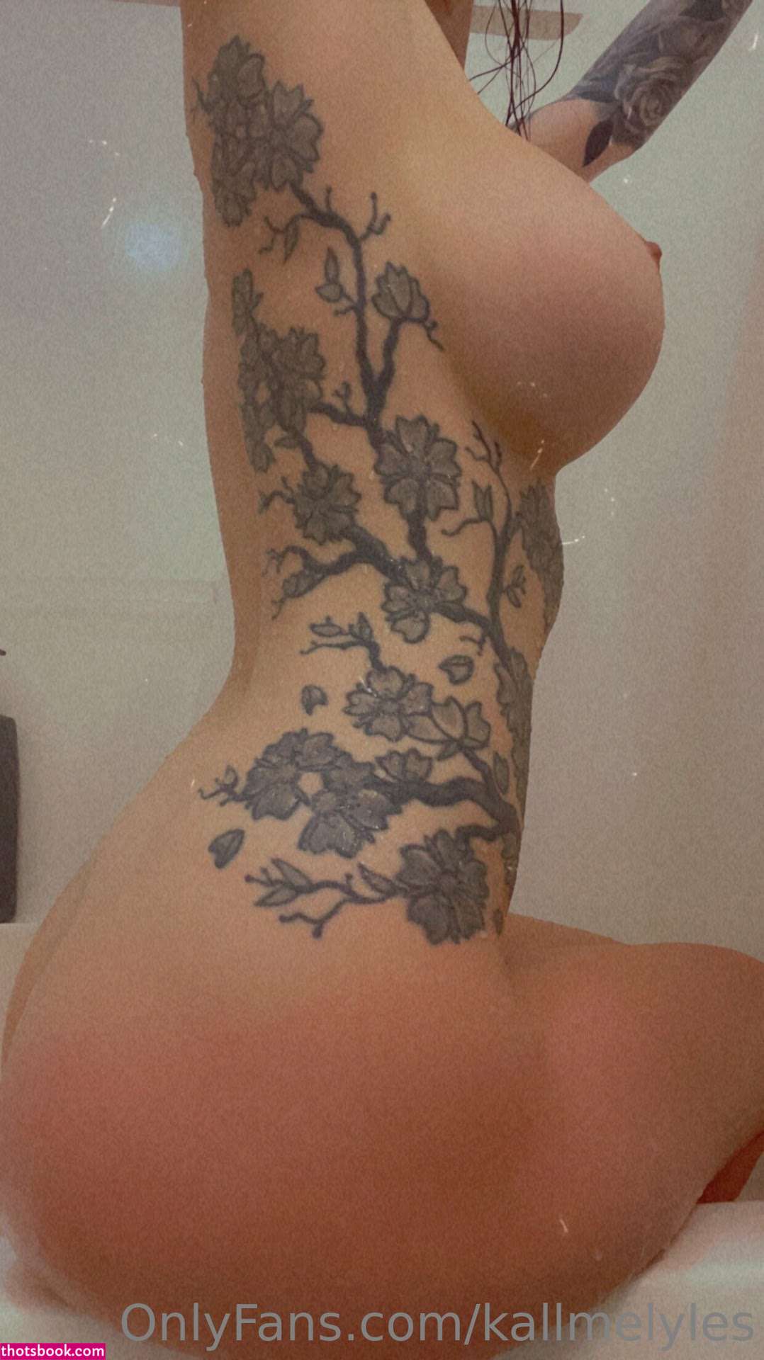 Kallmelyles Photo #35