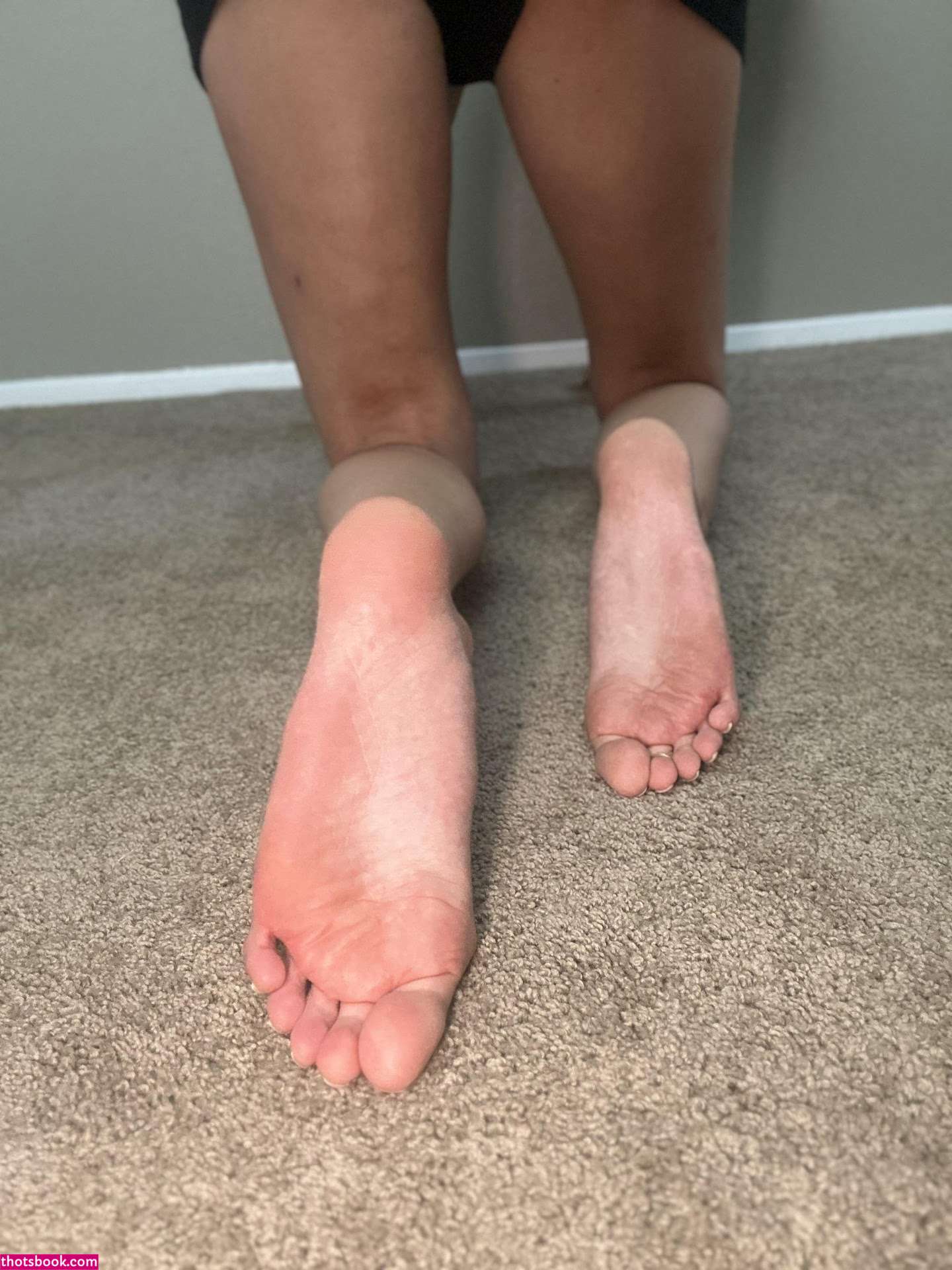 Amazonaria Photo #13