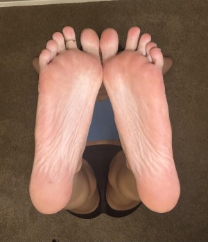 Amazonaria Photo #14