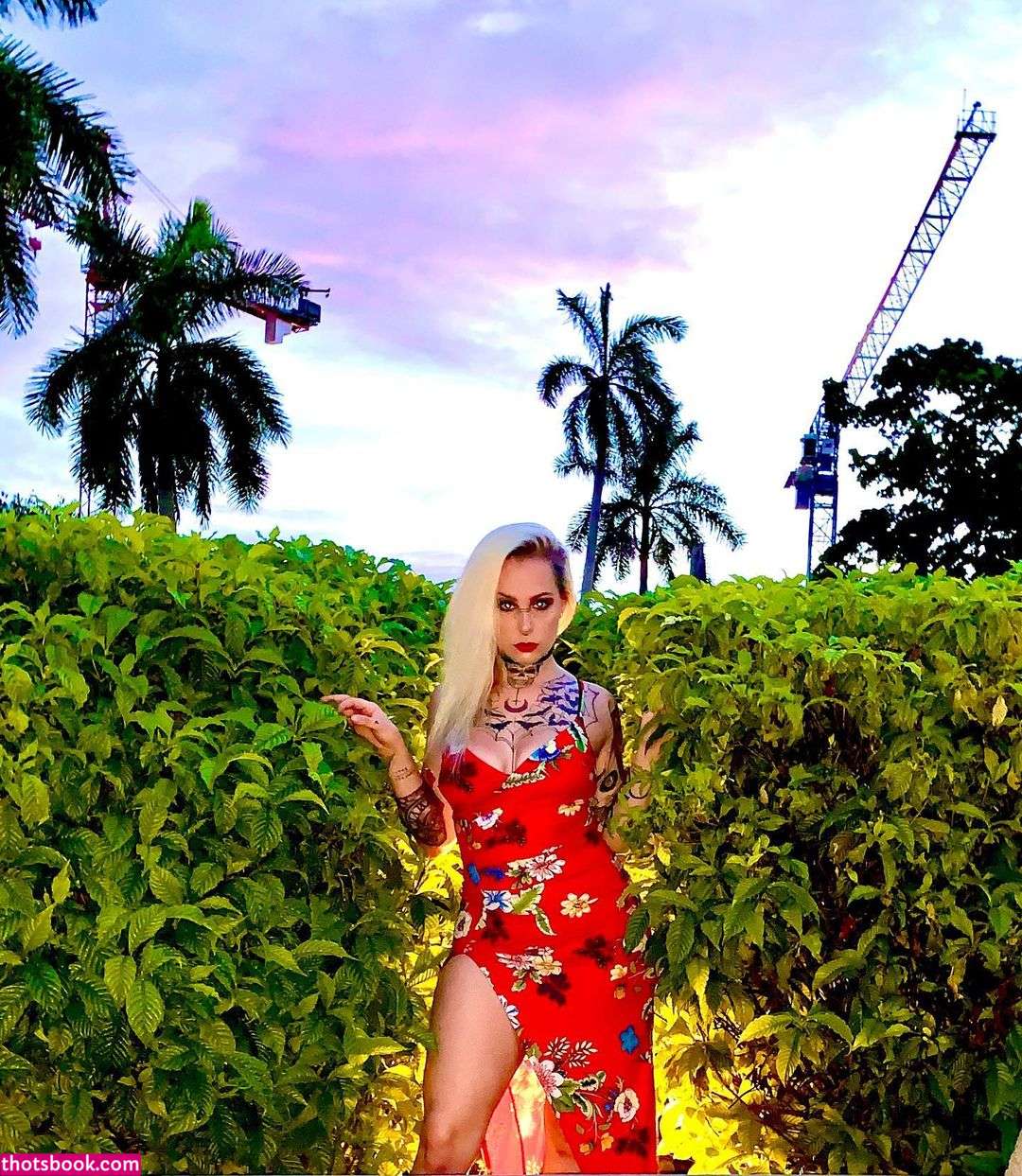 Kittydagoat Photo #19