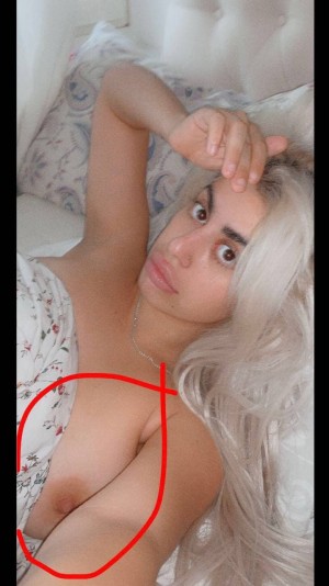 Nozan Ferm Photo #36