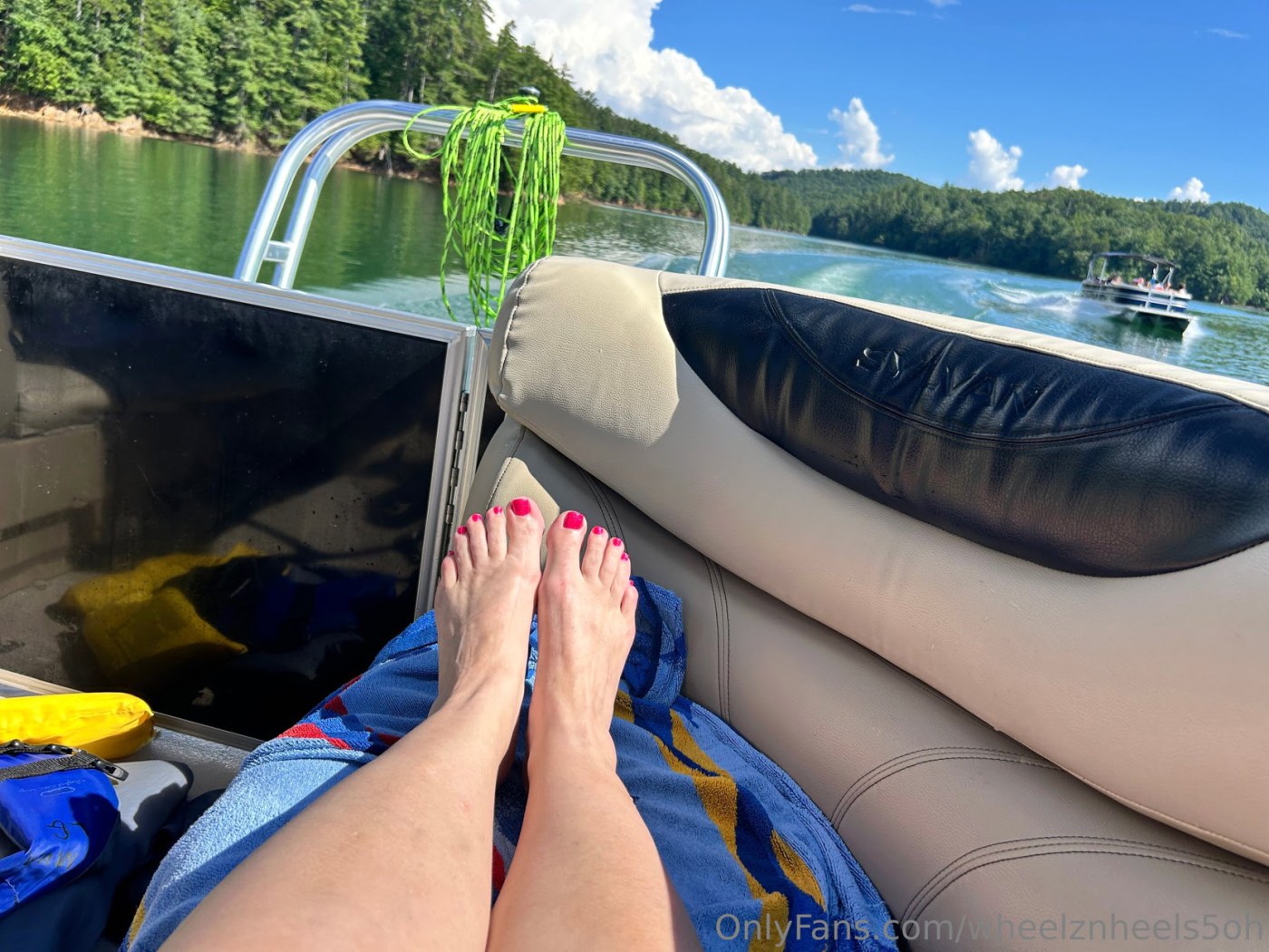 Shelby Driver Photo #37