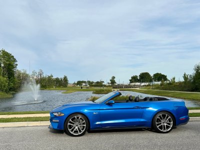 Shelby Driver Photo #40