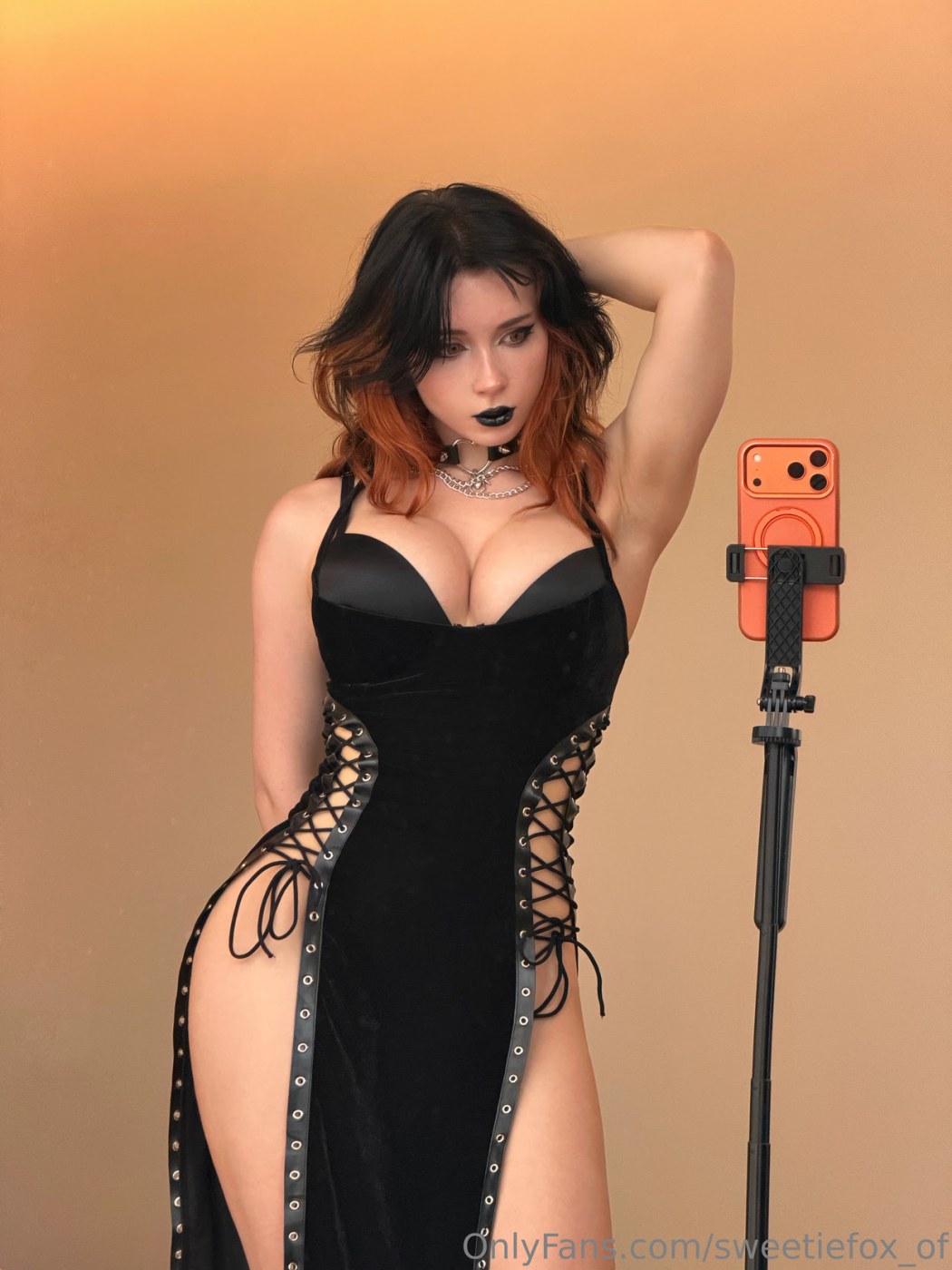 Sweetie Fox Photo #1022