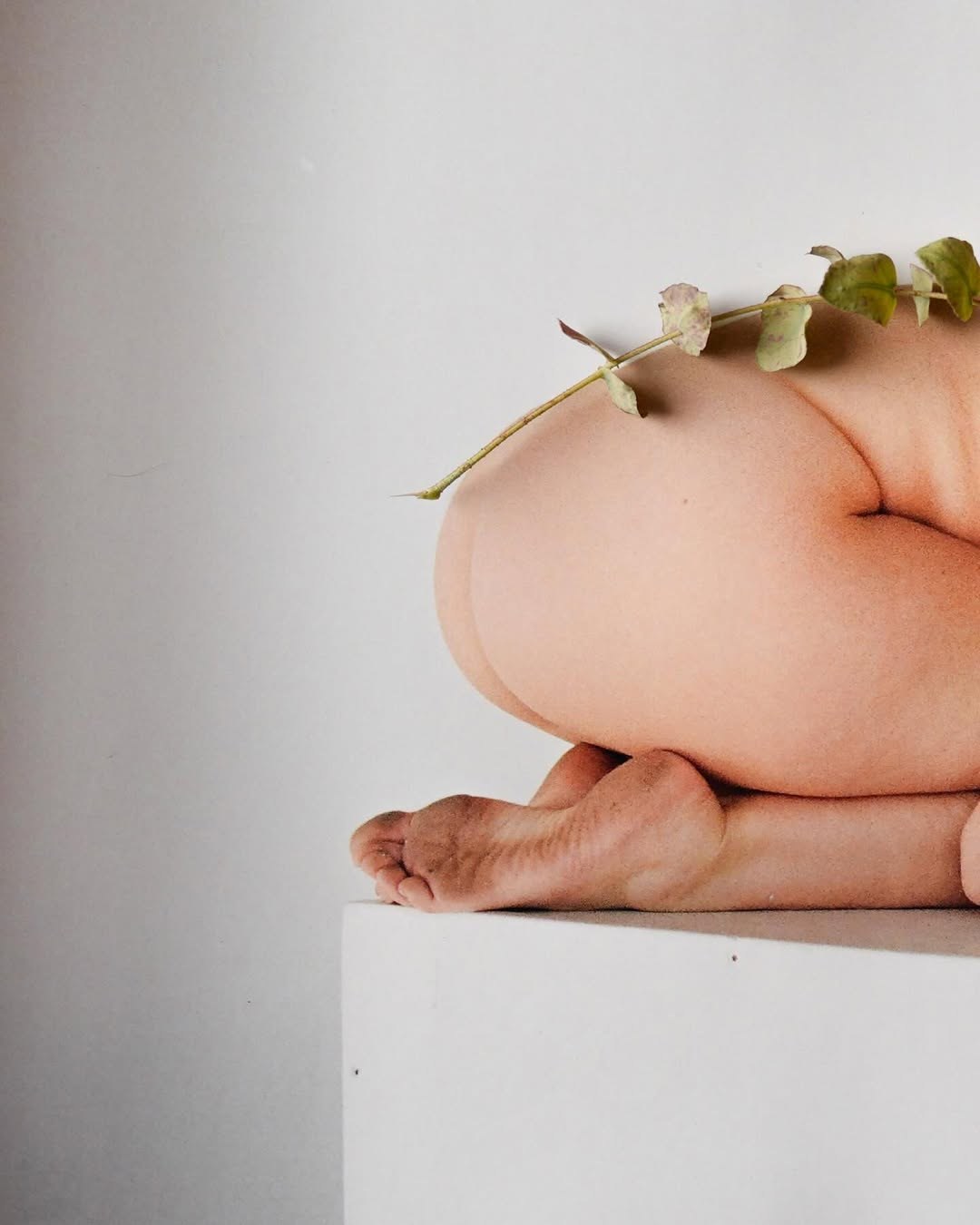 Sincerelypisces Photo #283