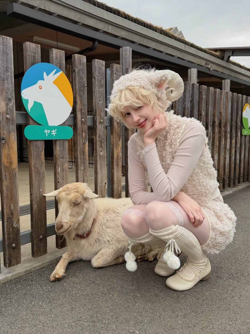 Catiescos Photo #114