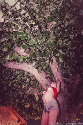 Sondaspaziale Photo #60